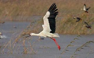 ����������������